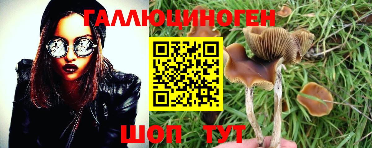 Галлюциногенные грибы Cubensis  Галлюциногенные грибы Psilocybine cubensis  Вход с VPN  Норильск 