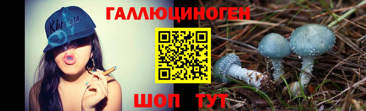 Галлюциногенные грибы прущие грибы Норильск